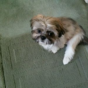 Meet your Posher, Sharon